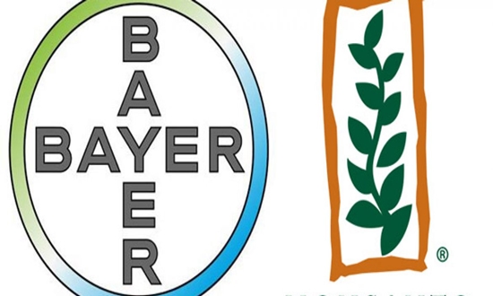     Bayer  Monsanto