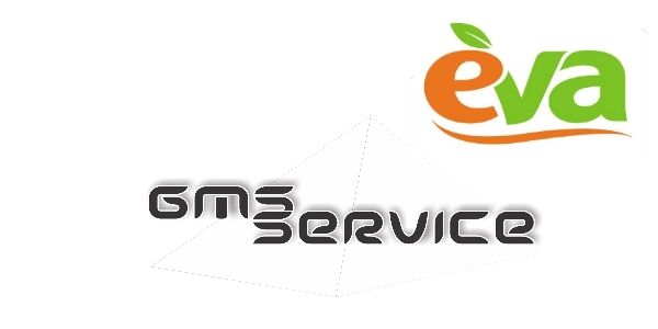   "EVA " -     EVA ( "")   GMS Service LLC