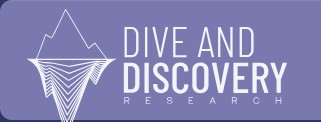 Dive & Discovery Research