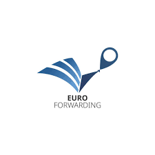 ���� ���������