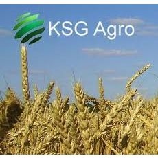  KSG Agro    
