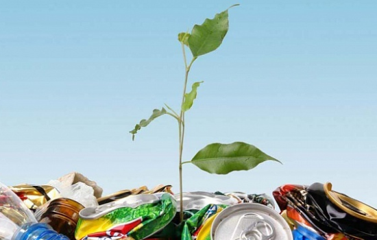 В Украине будут поощрять сортировку мусора и переработку отходов