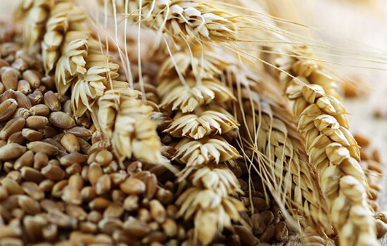 Світові ціни на пшеницю підскочили після ракетних ударів по Україні