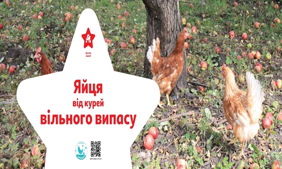 Ашан Украина внедряет политику по защите животных согласно международному движению