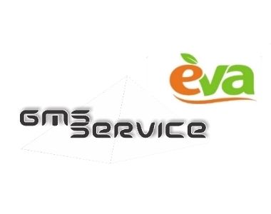  "EVA " -     EVA ( "")   GMS Service LLC