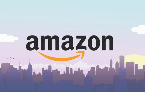  2018   Amazon     72,5% 