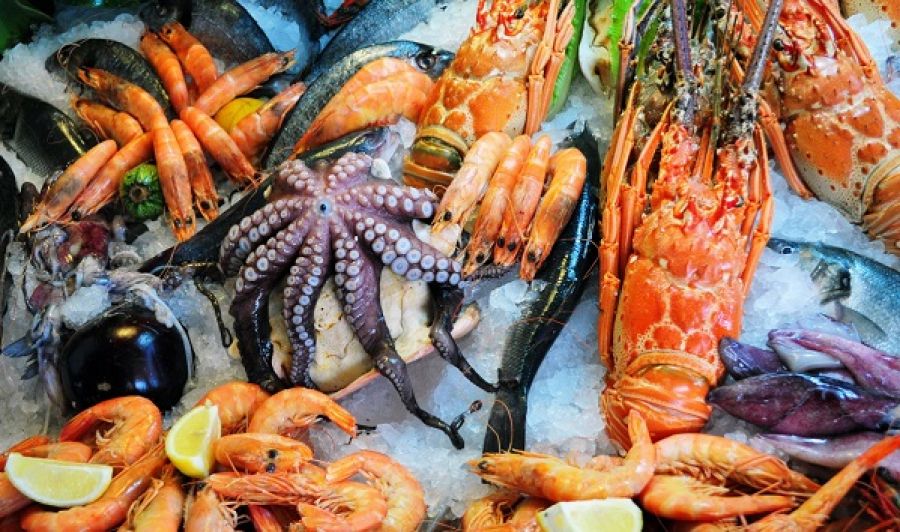 Заказ норвежской рыбы в Egersund Seafood в Киеве – это удобно и современно