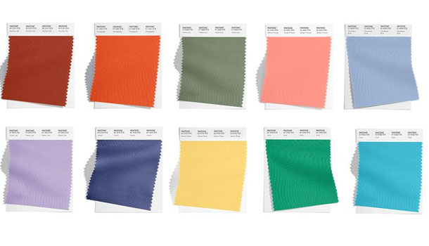 Pantone      - 2024 