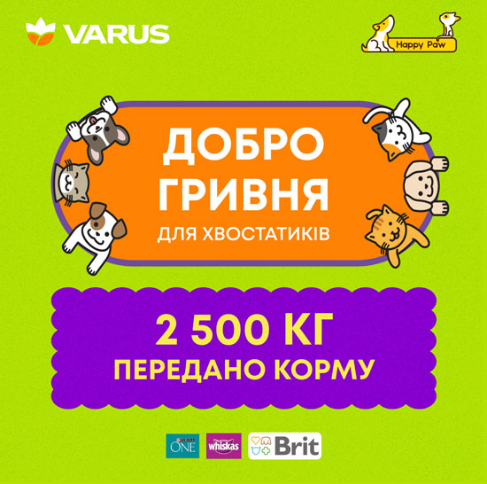   : VARUS   볺    2 500     