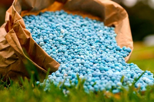 В прошлом году Украина недополучила урожая почти на 33 миллиарда гривен из-за завышения цен на удобрения
