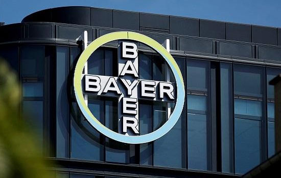 Bayer     2023 