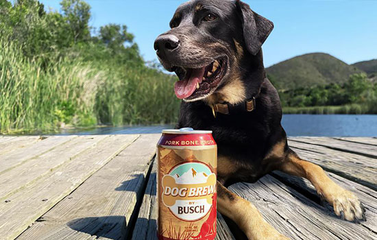     Busch Dog Brew     