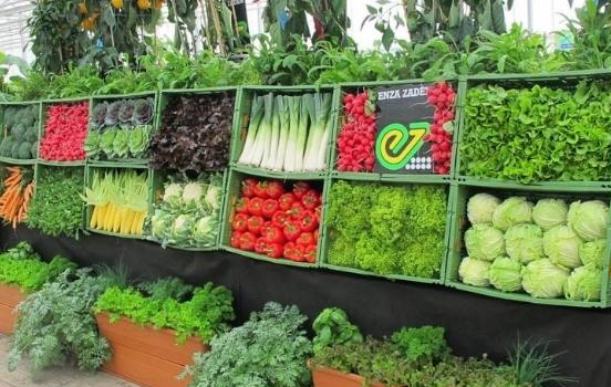 Посуха в Європі піднімає ціни на овочі та зелень