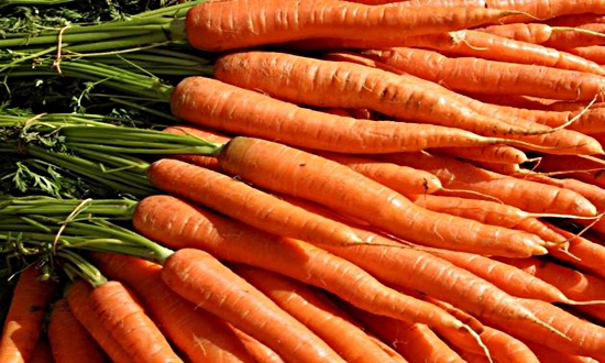 Морковь бьет ценовые рекорды
