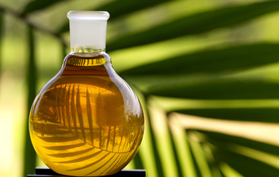 До 2030 года в ЕС откажутся от пальмового масла