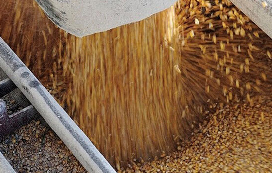 Єврокомісія запустила платформу для експорту українського зерна