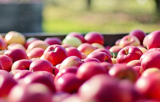 Ціни на яблука стрімко падають через відсутність попиту