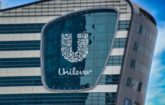 Unilever         11,2%   
