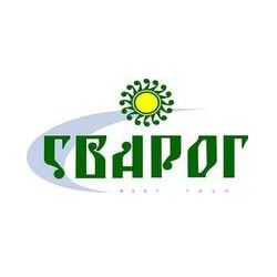  "  "    IPO  2013  