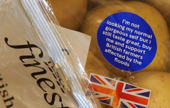 Tesco   ,      