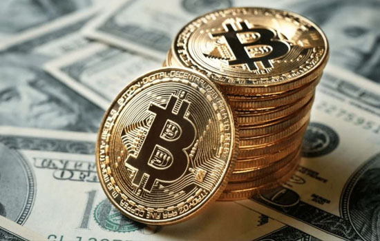       $ 66 