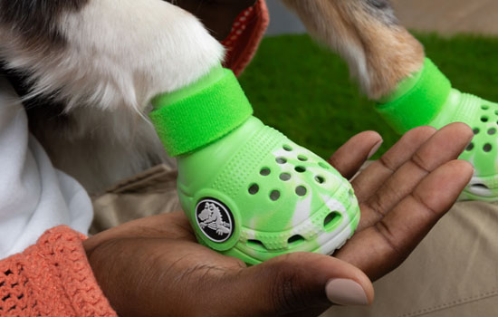 Crocs     