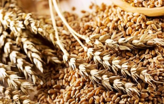 Україна експортувала близько 33,5 млн тонн зерна