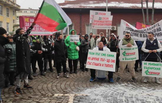 Фермери протестують у Болгарії: вимагають компенсувати збитки від війни в Україні