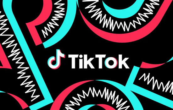 TikTok     345      