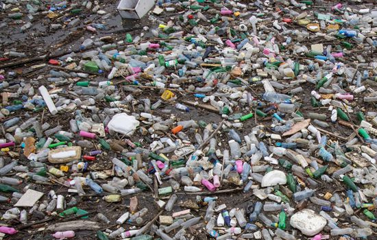 Coca Cola, Unilever, Nestle та інші міжнародні бренди спільно боротимуться проти пластику