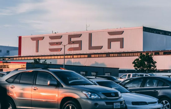 Tesla    24%