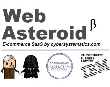 WebAsteroid: IBM WebSphere Commerce  .   