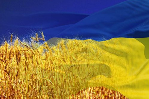 Украина стала первой страной в глобальном реестре собственников бизнеса