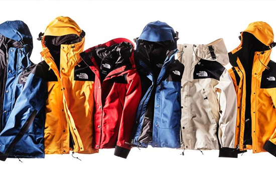 The North Face  Levi