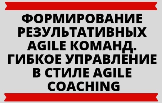 23-24 , :   Agile .     Agile Coaching