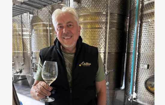 �� ������������ ��������� ����� ����� ��� Chateau Pinot
