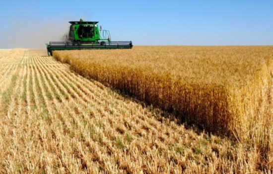 Украина увеличила агроэкспорт в ЕС