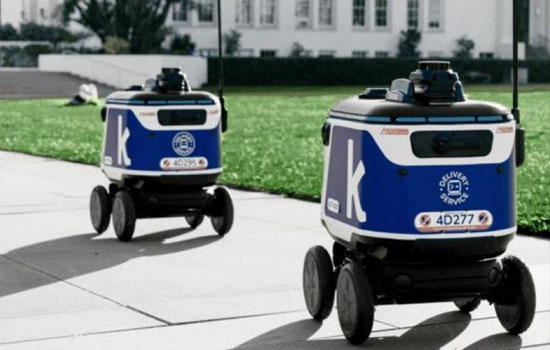 Kiwibot   10       