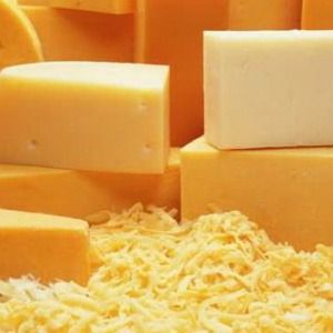 В украинских сырах обнаружили растительные жиры и кишечную палочку