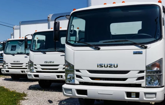   Isuzu    