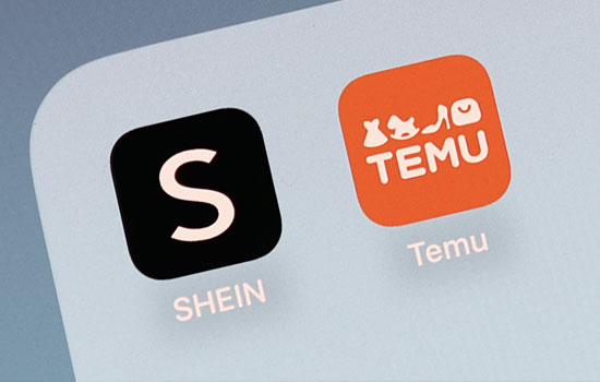 Temu, Shein  Hermès        