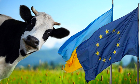 Проблемы АПК Украины: Новые стандарты. Что будет с рынком молока?
