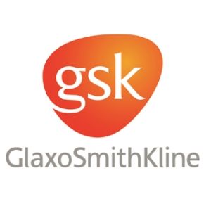  .   GlaxoSmithKline   2%