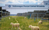 Volkswagen ���� 100 �����, ��� ����������� ������� �� ���� ���