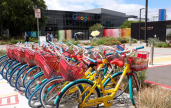�� ���������� Google �� �890 ��� �� ��������� ������ �����������