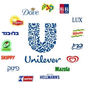 Unilever:         11,3%