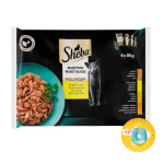 ������ ��� ������