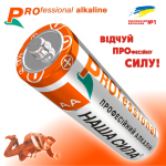   Professional