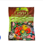 ������ ��� ���� 