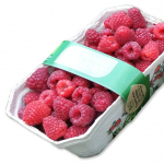 Organic Fresh Raspberries